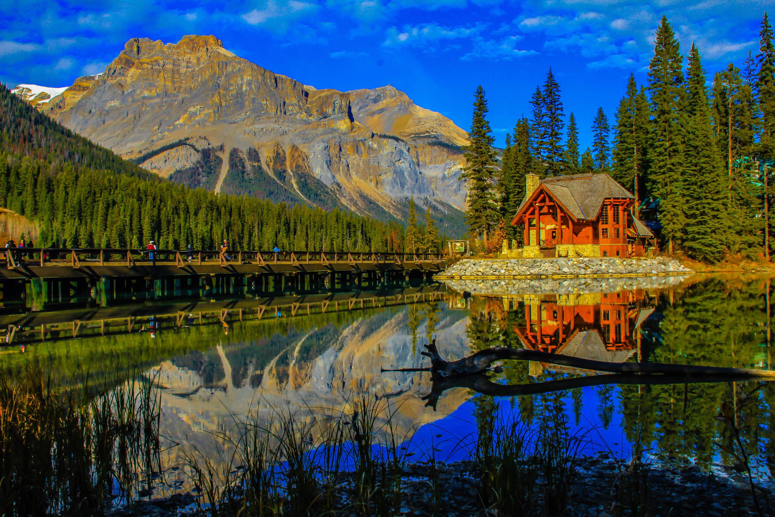 A serene lakeside scene with a wooden cabin surrounded by tall pine trees. The lake reflects the cabin and a mountain under a vibrant blue sky. A wooden walkway spans the water, enhancing the tranquil ambiance.