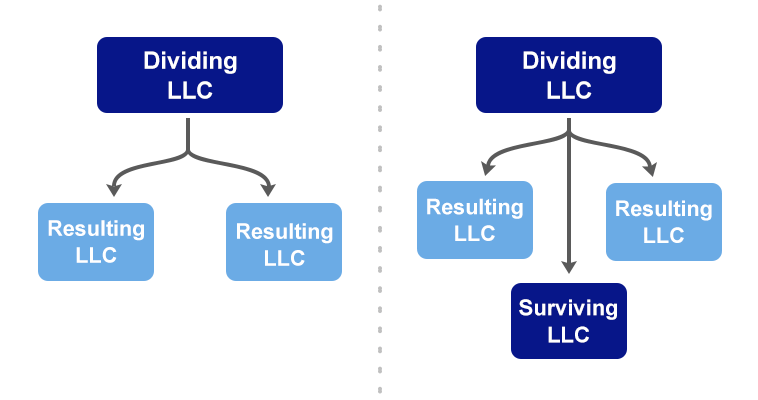 LLC Division Options