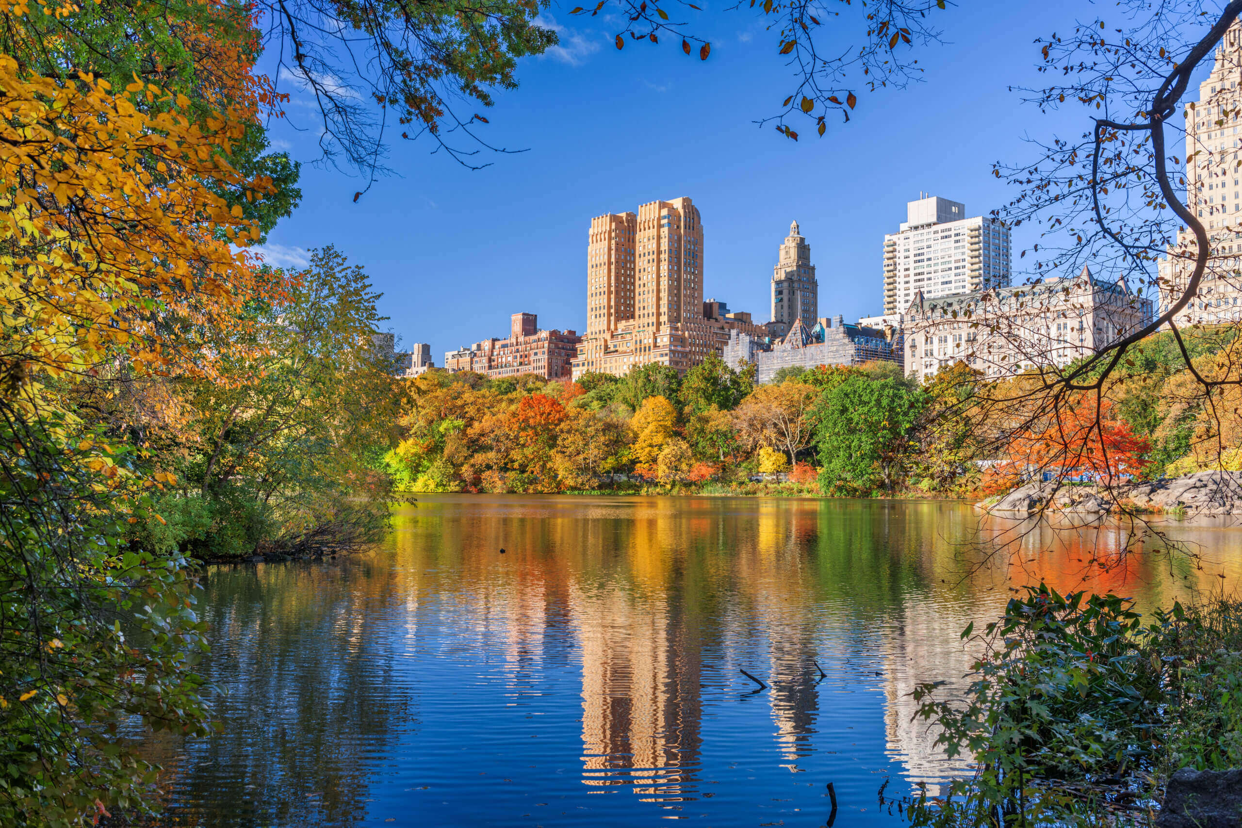 New York’s LLC Transparency Act Part II